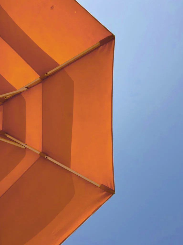 seo strategy seed and solace